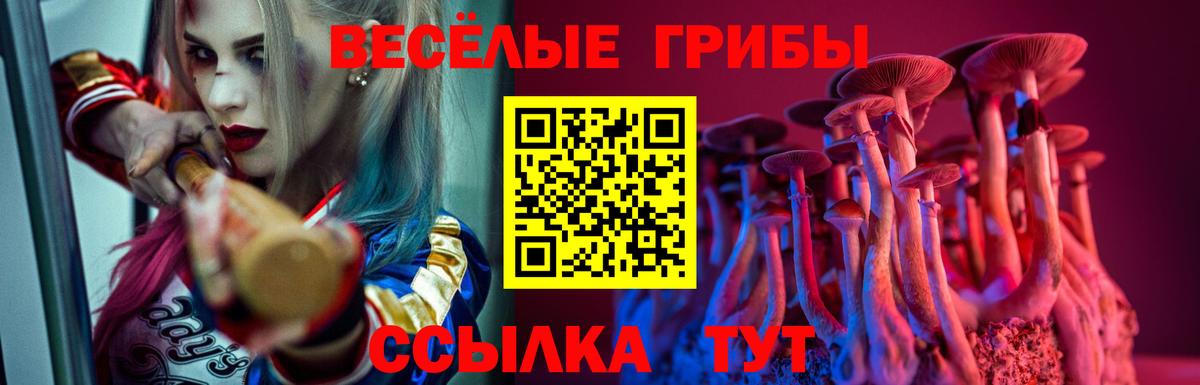 Галлюциногенные грибы GOLDEN TEACHER  Вход с VPN  Псилоцибиновые грибы Psilocybe  цены наркотик  Норильск 