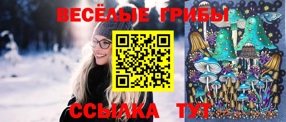 Псилоцибиновые грибы мицелий Норильск